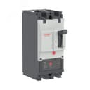Авт. выкл. YON pro MNX250H 2P 250A 150kA при AC415V расц. TMD