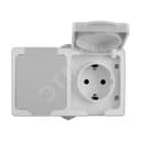 Розетка Аллегро 2 горизонтальных гнезда с заземлением с защитными шторками IP54 с крышкой серый Универсал