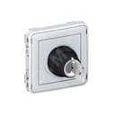 Plexo Выключатель с ключом 2контакта НО серая