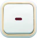 Выключатель 1-кл. ОП Валентина 10А IP20 А16-054 с индикацией бел./зол. Кунцево 7633