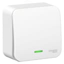 Переключатель BLANCA одноклавишный наружный (схема 6) с подсветкой и изоляционной пластиной 10а 250b белый Systeme Electric