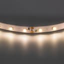 Лента белого свечения Lightstar 400002