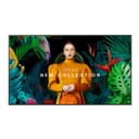 Профессиональный дисплей QM75C Samsung