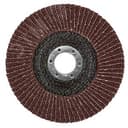 Круг лепестковый торцевой 125 мм P 24