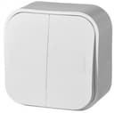 Переключатель двухклавишный Legrand 782206