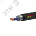Кабель силовой ВБШвнг(А) 2х35мк(N)-0.66 ВНИИКП ТРТС