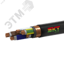 Кабель силовой ВВГЭнг(А)-FRLS 5х50мс(N.PE)-0.66 ТРТС