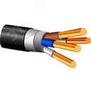 Кабель силовой ВБШв 4х10 ТРТС