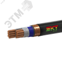 Кабель силовой ВВГЭнг(А)-FRLS 2х95мс(N)-1 ВНИИКП ТРТС