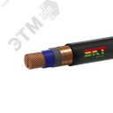 Кабель силовой ВВГЭнг(А)-LS 2х240мс(N)-1 ВНИИКП ТРТС