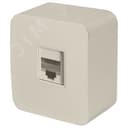 Розетка компьютерная одноместная RJ-45 серия София слоновая кость STEKKER