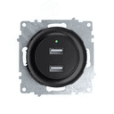 Розетка USB двойная, с подсветкой, цвет черный 2260092 ССТ