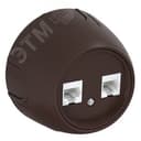 Розетка двойная компьютерная RJ45 кат.5e Rotondo, цвет коричневый