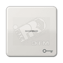 Клавиша с окошком и символом ключ для выключателей с подсветкой светло-серая JUNG