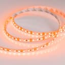 Лента RT-A120-8mm 12V Orange (9.6 W/m, IP20, 2835, 5m) (Arlight, -)