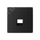 ARTGALLERY накладка информационная типа Keystone, карбон