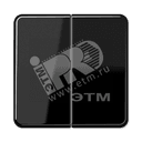 Клавиши для сдвоенных выключателей и кнопок  черные