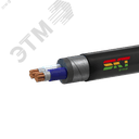 Кабель силовой ВБШвнг(А)-FRLS 2х16мк(N)-1 ВНИИКП ТРТС