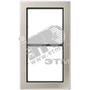 Рамка 2 поста благородная сталь