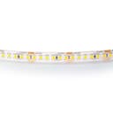 Лента теплого белого свечения влагозащищенная 24V Lightstar 421053