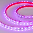 Лента Arlight RTWPSB6012mm 24V RGB 144 Wm IP67 5060 5m 0214002