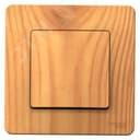 BLANCA скрытой установки одноклавишный выключатель (cх.1), 10A, 250B, ясень Systeme Electric