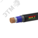 Кабель силовой ВВГнг(А)-FRLS 2х120мс(N)-1 ВНИИКП ТРТС