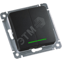 MASTER Выключатель двухклавишный с индикацией, скрытой установки, в рамку, черный HEGEL