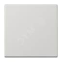 Клавиша 1-я для выключателей и кнопок  без подсветки. Серия LS990  Материал- дуропласт  Цвет- светло-серый