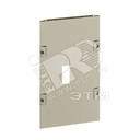 Панель передняя для NS250 c рычагом управления