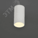 LIGHTING Светильник уличный 5110 потолочный под лампу GU10 IP65 белый IEK