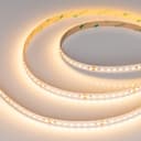 Лента TWISTA12810mm 24V Warm2700 10 Wm IP20 5m Arlight 7 лет 050500