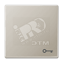 Клавиша для выключателя с символом замок благородная сталь