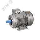 Электродвигатель трехфазный АИС 132SB2 660В 7,5кВт 3000об/мин 2181 ONI ONI