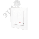 VESNA Выключатель двойной с подсветкой белый