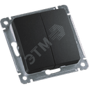 MASTER Выключатель двухклавишный скрытой установки, в рамку, черный