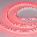Лента MINIF12012mm 24V RGB 224 Wm IP20 3535 5m arlight Открытый 0227192