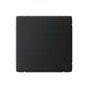 Выключатель 1-кл. ArtGallery (сх. 1) 10AX карбон SE GAL001011