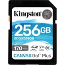 Карта памяти Kingston 256GB SDG3/256GB