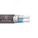 Кабель АВБШв нг(А)LS 2х4.0 0.66кВ