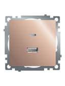 Розетка 2местная USB type C механизм STEKKER GLS10711602 250B 3A max 20W серия Катрин шампань 50056