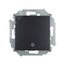 Выключатель одноклавишный, кнопочный с пиктограммой, 16А 250В, винтовой зажим, графит