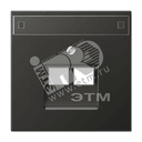 Крышка для сдвоенной телефонной и компютерной розетки  UAE с полем для надписи  антрацит