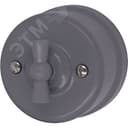 Выключатель Лизетта 2-кл., пластик, цвет Титан