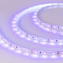 Лента RT-A60-8mm 12V UV400 (4.8 W/m, IP20, 2835, 5m) (Arlight, Открытый)