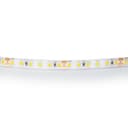 Лента теплого белого свечения 24V Lightstar 420853