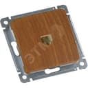 MASTER Розетка компьютерная скрытой установки, в рамку, дуб HEGEL
