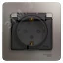 GLOSSA розетка с заземлением со шторками с крышкой в сборе IP44 платина Systeme Electric