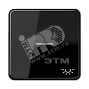 Клавиша с окошком и символом освещение для вы JUNG