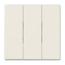 Клавиша 3-я для 3-х клавишных выключателей без подсветки. Серия LS990 Материал- термопласт Цвет- слоновая кость JUNG